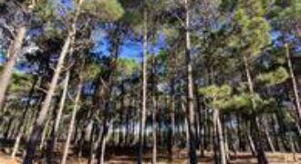 Lote de Terreno en Villa Robles